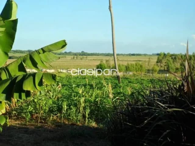 Caazapá s ruta 222 has, zona alta, infraestructura, agro-ganadera, 43.000.000 gs/ha, foto 5