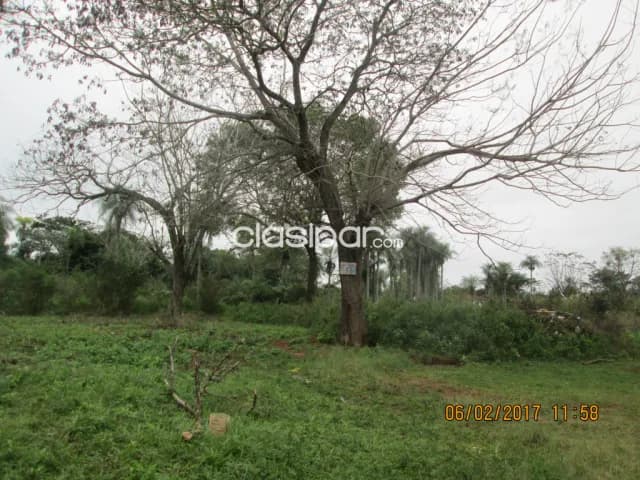 Terreno en Piribebuy 145 hectáreas abundante paso de Arroyo disfrute solo por este mes .!!, foto 3