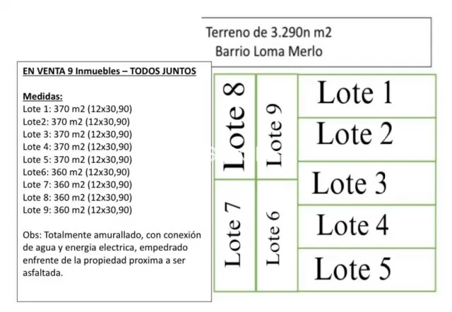 3.290 m2 detras de rakiura, Luque, foto 3