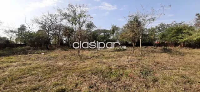 3.290 m2 detras de rakiura, Luque, foto 4