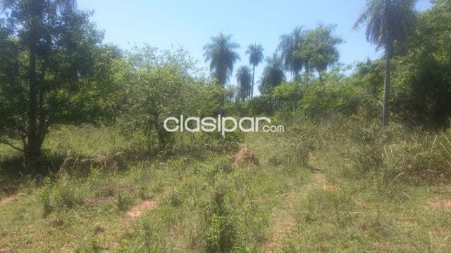 Terreno de 5 ha.en Loma Grande