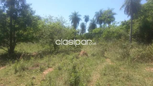 Terreno de 5 ha.en Loma Grande — foto 2