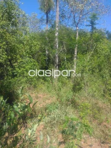 Terreno de 5 ha.en Loma Grande — foto 3