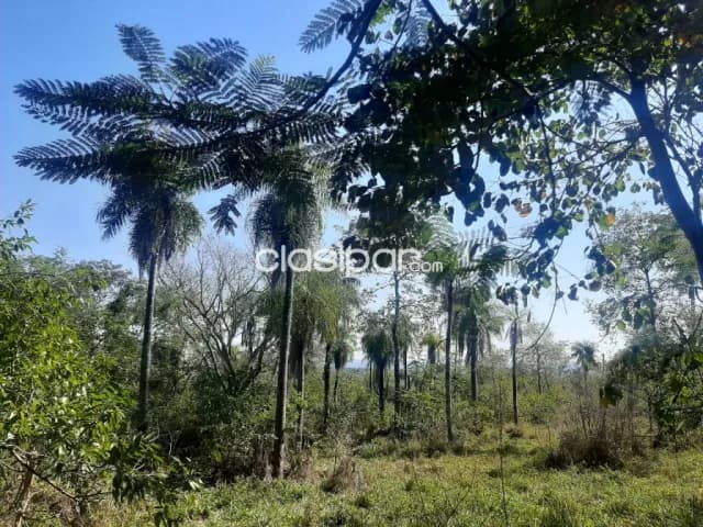 Terreno de 5 ha.en Loma Grande — foto 4