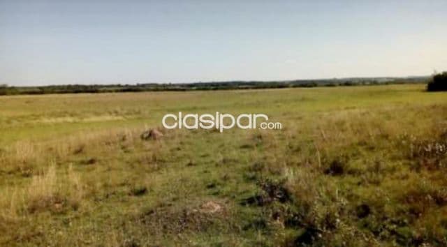 Campo Agricola/Ganadero en San Pedro del Paraná - 216 Ha