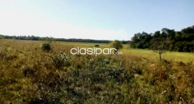 Campo Agricola/Ganadero en San Pedro del Paraná - 216 Ha, foto 3