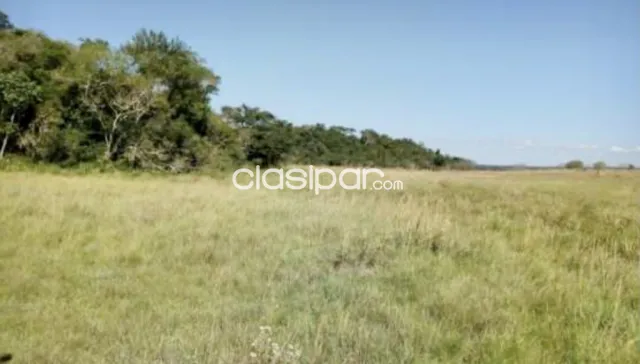 Campo Agricola/Ganadero en San Pedro del Paraná - 216 Ha, foto 4