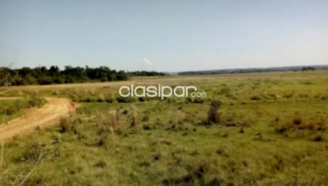 Campo Agricola/Ganadero en San Pedro del Paraná - 216 Ha, foto 5