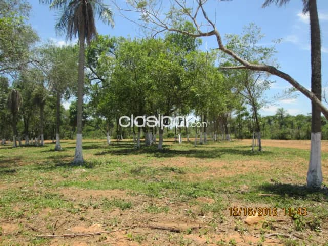 Terreno en Patiño VISTA AL LAGO oferta entrega de 50 mill. y cuotas por este mes. !! — foto 4