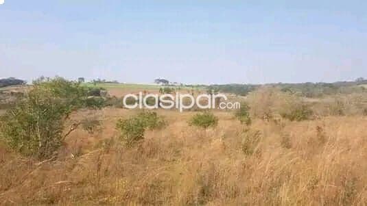ESTANCIA de 52 hectáreas en Caaguazu — foto 1