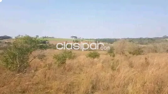 ESTANCIA de 52 hectáreas en Caaguazu — foto 2