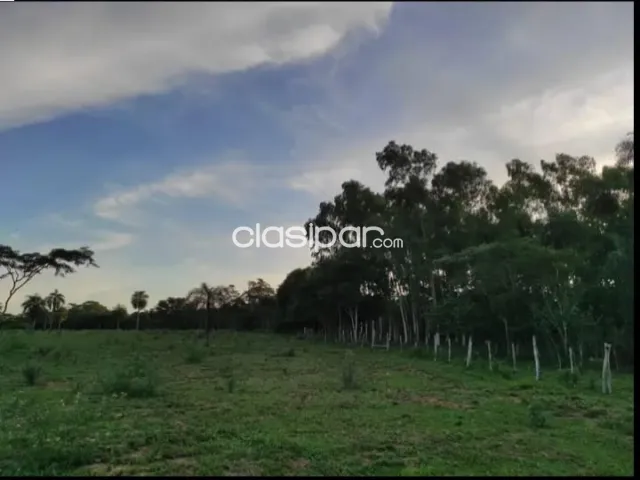 ESTANCIA de 52 hectáreas en Caaguazu — foto 3