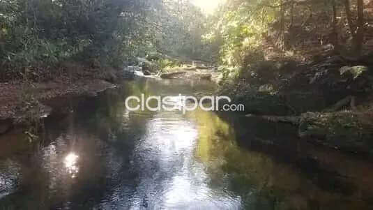 ESTANCIA de 52 hectáreas en Caaguazu — foto 5