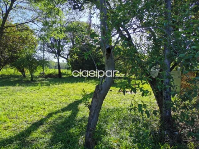 Terreno en Luque zona conmebol - de 1.500 m2 — foto 3