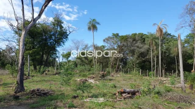 Terreno en venta en San Bernardino zona Pirayu i — foto 5