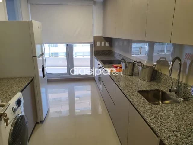 Departamento amoblado en alquiler en Palacio de los Patos, foto 3