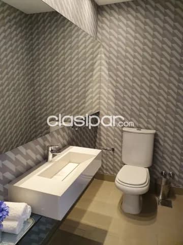 Departamento amoblado en alquiler en Palacio de los Patos, foto 5