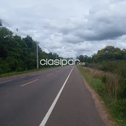 Tarumandy – Luque s/ asfalto: Inmejorables 7 has, ideales p/ desarrollos inmobiliarios — foto 2