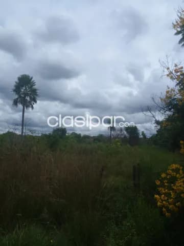Tarumandy – Luque s/ asfalto: Inmejorables 7 has, ideales p/ desarrollos inmobiliarios — foto 3