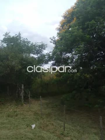 Tarumandy – Luque s/ asfalto: Inmejorables 7 has, ideales p/ desarrollos inmobiliarios — foto 4