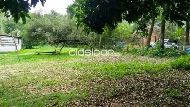 Terreno de 12x50 en Lambare barrio Puerto Pabla zona Petropar — foto 5