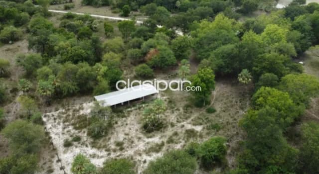 𝑬𝑺𝑷𝑬𝑪𝑰𝑨𝑳 𝑷𝑨𝑹𝑨 𝑰𝑵𝑽𝑬𝑹𝑺𝑰Ó𝑵! 17 Hectáreas en Villa Oliva, foto 4