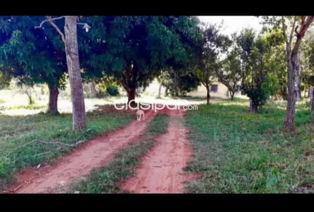 Hermosa propiedad en pindolo — foto 2