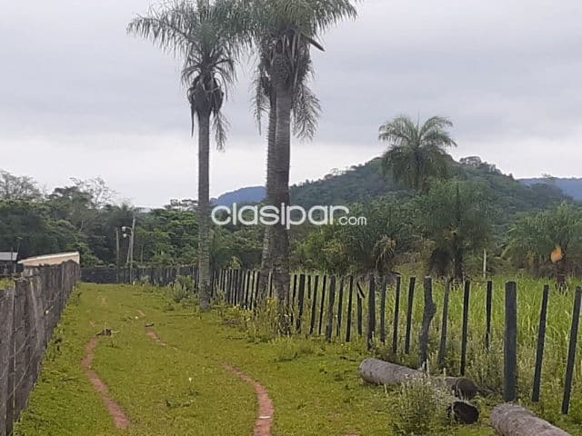 Granja de 8 has y media, en La Colmena