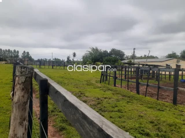 Granja de 8 has y media, en La Colmena — foto 3