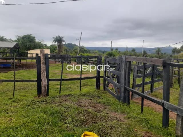 Granja de 8 has y media, en La Colmena — foto 5