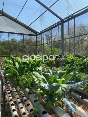 En venta quinta en itaugua — foto 3
