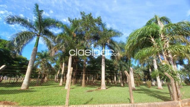 Santa Rita - Terreno ideal para barrio cerrado / residencial / shopping / galería