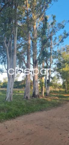 Terreno en ypacaraí, 3 hermosos lotes!!!, foto 3