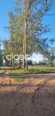 Terreno en ypacaraí, 3 hermosos lotes!!!, foto 4