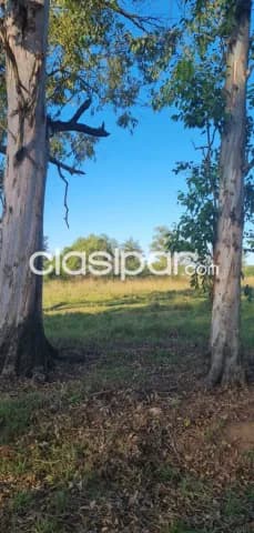 Terreno en ypacaraí, 3 hermosos lotes!!!, foto 5