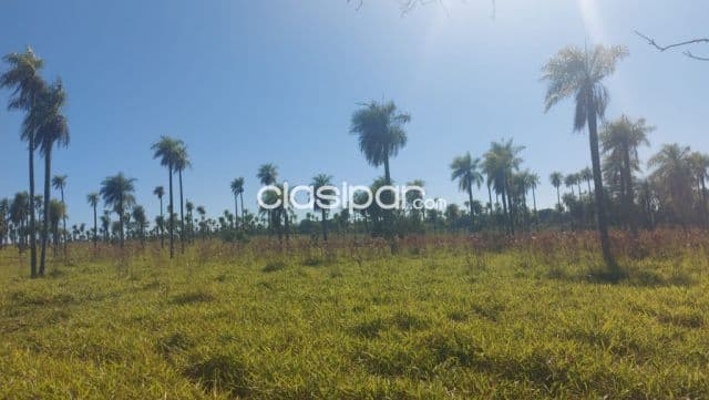 Piribebuy – escobar: Oportunidad!! 50 has en oferta, vista panoramica, 55.000.000 gs/ha — foto principal