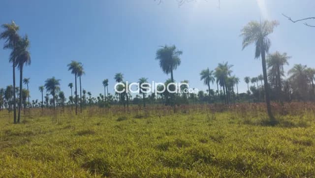Piribebuy – escobar: Oportunidad!! 50 has en oferta, vista panoramica, 55.000.000 gs/ha — foto 2
