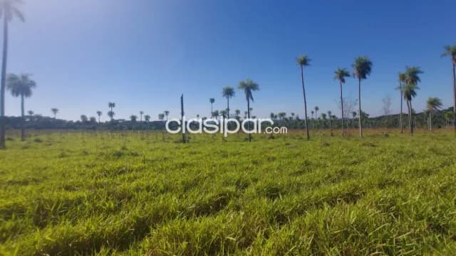 Piribebuy – escobar: Oportunidad!! 50 has en oferta, vista panoramica, 55.000.000 gs/ha — foto 3