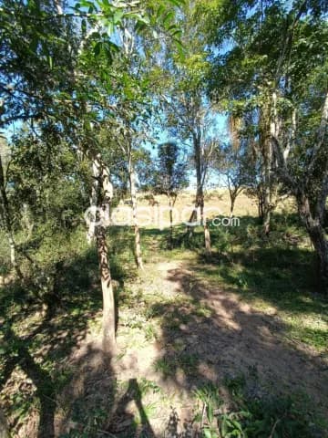Naranjo - piribebuy: 6 terrenos s/ arroyo, 2.520 m2, 360.000.000 gs — foto 5