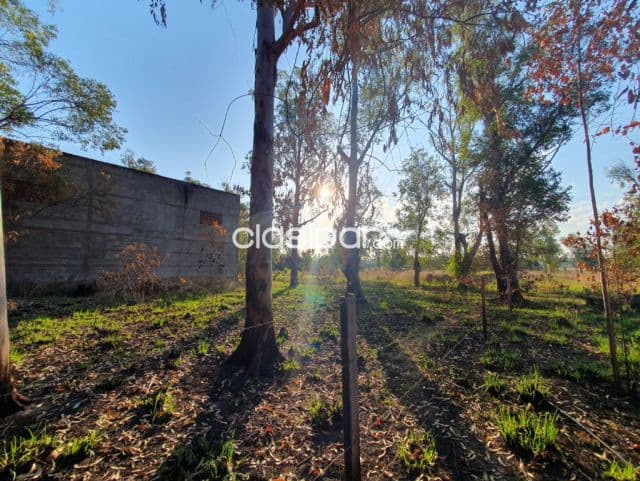 Ypacarai land for sale at 18 euros per square meter on route 2 (Asunción-Ciudad del Este) — foto 1