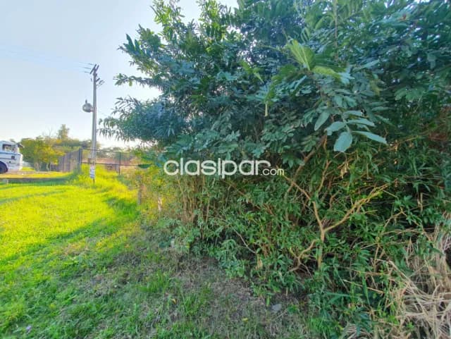 Ypacarai land for sale at 18 euros per square meter on route 2 (Asunción-Ciudad del Este) — foto 5