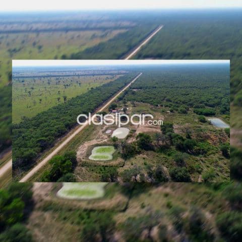 751 hectáreas. Bajo Chaco. Ruta.: XII. Kilómetro 140. Próxima a asfaltarse. Vendo Él Total