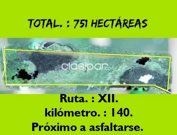 751 hectáreas. Bajo Chaco. Ruta.: XII. Kilómetro 140. Próxima a asfaltarse. Vendo Él Total, foto 5