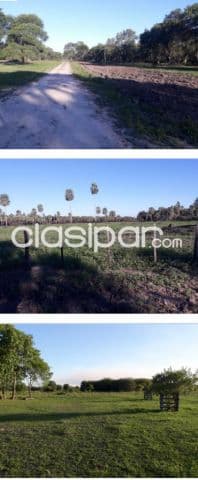 Campo en Puerto José Falcón