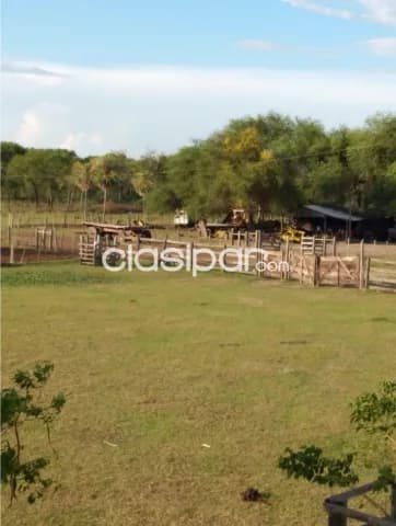 Campo en Puerto José Falcón — foto 5
