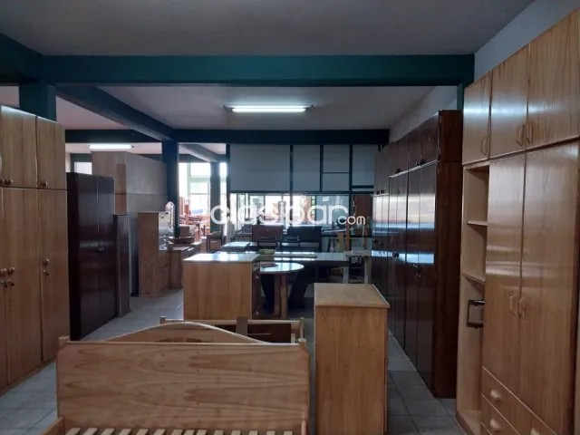 Luque – las residentas: Prestigioso comercio, showroom, 750 m2, estratégica ubicación — foto 5