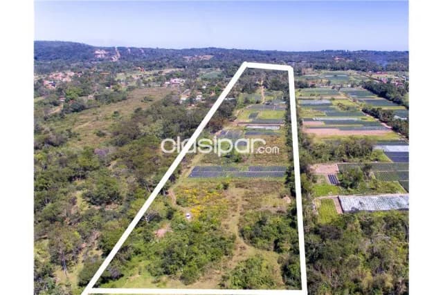 Imponentes 6 has. Sobre ruta aregua -patiño con salida al lago ypacaraí — foto 4