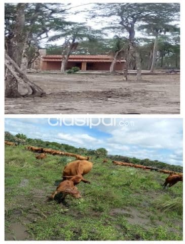 Benjamin aceval – pdte hayes: 910 has – establecimiento ganadero industrial en funcion, foto 1