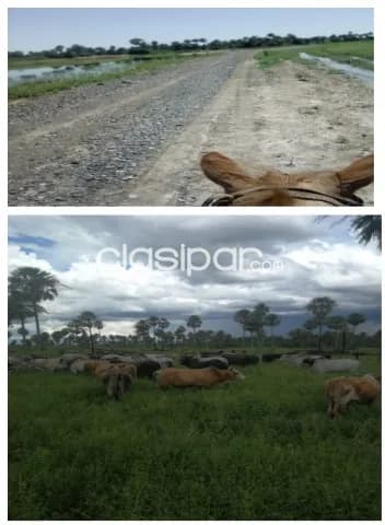 Benjamin aceval – pdte hayes: 910 has – establecimiento ganadero industrial en funcion, foto 4