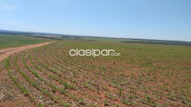 San pedro / guayaibi - 638 hectáreas para agricultura y ganadería - sobre ruta 3
